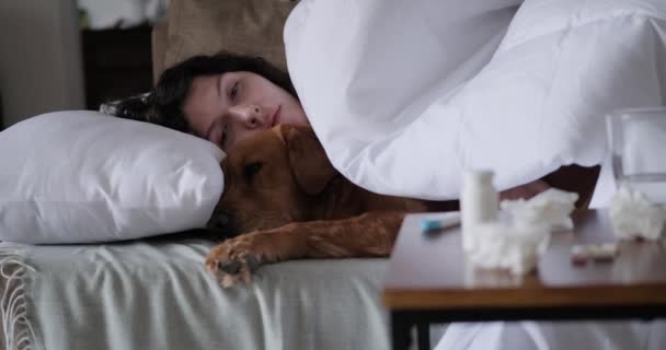 Молодая Женщина Собака Лежат Диване Гостиной Женщина Больна Собака Поддерживает — стоковое видео