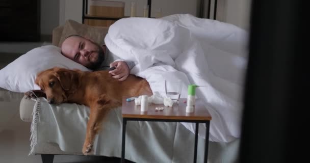 病気の休暇中に風邪をひいた男はソファーに横たわり 金持ちの犬とテレビを見ている 寒さとインフルエンザの季節 病気中の治療と自宅での休息 — ストック動画