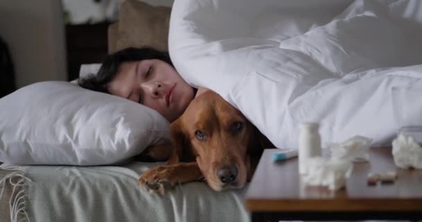 風邪をひいた若い女性は リビングルームのソファーにゴールデンレトリーバー犬がいる ナイトスタンドの前景には錠剤と冷たい薬があります サポート犬 寒い季節 — ストック動画
