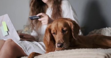 Evcil hayvan dükkanlarında Kara Cuma indirimi. Genç bir kadın bir kredi kartı tutuyor ve bir evcil hayvan dükkanında dizüstü bilgisayardan mal alıyor. İnternetteki bir köpeğe hediye olarak mal sipariş et..