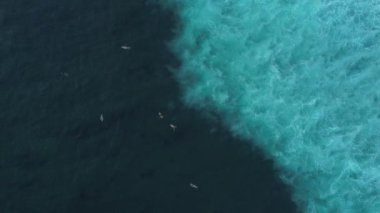 İnsansız hava araçları okyanusta sörf yaparken çekilmiş arka plan videosu. Sörfçüler dalgalarını turkuaz Hint Okyanusu 'nun ortasında bekliyorlar. Bali 'de sörf dersleri, yeni başlayanlar için sörf eğitmeni..