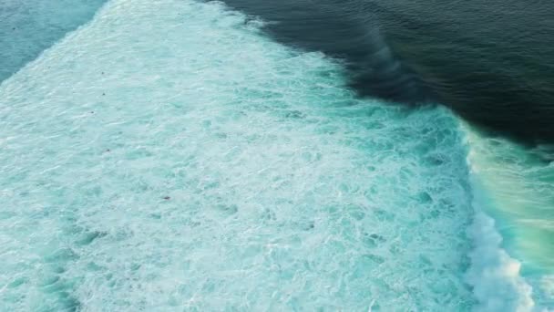 Letecký Pohled Surfaře Plavající Proti Proudu Potápějící Pod Obrovskou Vlnou — Stock video