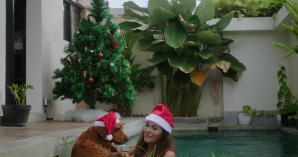 在南方庆祝圣诞节和夏天的新年 一只头戴圣诞礼帽的金毛猎犬在游泳池边的圣诞树旁玩耍 — 图库视频影像