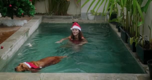 赤い水着の若い女性と彼女の黄金の回収犬とサンタの帽子は バックグラウンドのクリスマスツリーで プールで新年を祝います プールでクリスマスを祝う — ストック動画