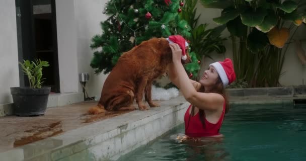 Золотий Собака Ретривер Молода Жінка Червоному Купальнику Відзначають Різдво Під — стокове відео