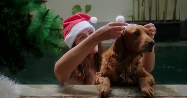 一只金毛猎犬和一个穿着红色泳衣的年轻女子在游泳池里游泳 庆祝圣诞节 一个女人把一顶圣诞老人帽戴在她的狗身上 在夏天庆祝新年 — 图库视频影像