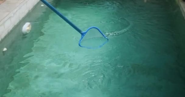 プールクリーナーサービス スキマーと一緒にホテルでプールを掃除する ターコイズ水のプールから落ち葉や汚れを取り除きます — ストック動画