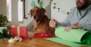 Noel kostümü içinde geyik boynuzları ve Noel Baba şapkası takmış Noel ve yeni yıl hediyelerini masaya paketleyen bir köpek resmi. Sıcak Noel atmosferi.