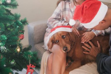 Noel kıyafetleri içinde bir aile Noel ağacının yanındaki kanepede oturuyor ve Noel Baba şapkası takan golden retriever köpeği besliyor. Noel köpeği yeni yılı ailesiyle kutluyor..