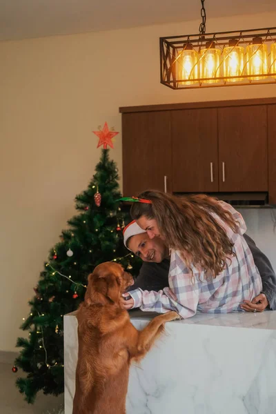 一个年轻女子为她的狗包装圣诞礼物的双手的俯视图 把狗骨头包在礼品纸上鹿角的影子落在纸上 — 图库照片