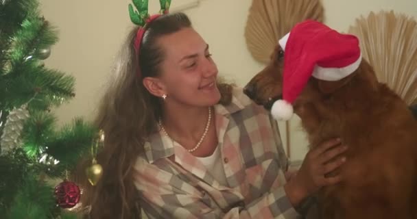 サンタの帽子をかぶった若い女性とゴールデンレトリーバーの犬がソファに座り 犬が女性にキスします クリスマス犬と彼の幸せな飼い主は クリスマスの前夜に 愛らしい犬と新年パーティー — ストック動画