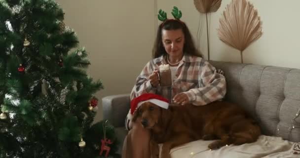 一位身穿圣诞服装 头戴驯鹿鹿角的年轻女子坐在沙发上 用棉花糖喝可可 一只头戴圣诞老人帽的金毛猎犬躺在她旁边 和狗共度温馨的圣诞 — 图库视频影像