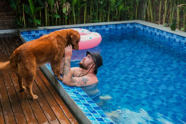 A man sits in the swimming pool and looks at his Golden Retriever dog, which is standing on the edge of the pool. Dog companion, relaxing with a dog in the summer, swimming in the pool.