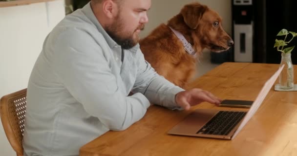 一只金毛猎犬坐在客厅里一个人的旁边 这个人正在家里用笔记本电脑工作 远程工作和自由职业的概念 和你的宠物一起工作 — 图库视频影像