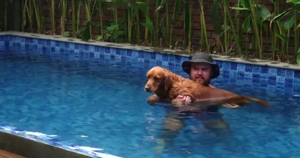 Mężczyzna Brodą Pływa Basenie Trzyma Ramionach Psa Golden Retrievera Uczenie — Wideo stockowe