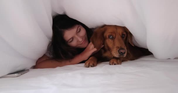 Una Joven Morena Perro Golden Retriever Yacen Una Cama Bajo — Vídeos de Stock