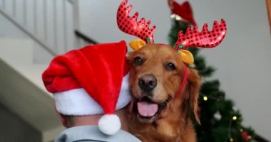 Noel Baba şapkası takan bir adamın geyik boynuzlu bir kafa bandı takan Golden Retriever köpeğine sarıldığı sahne dekorasyonlu ve çelenkli bir Noel ağacının arka planında. Köpek severler..