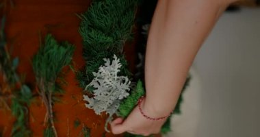 Genç bir kadının ellerinin dikey videosu ladin ve çam dallarından oluşan bir kompozisyon oluşturuyor ve onlardan bir Noel çelengi yapıyor. Noel süslemeleri oluşturma süreci.