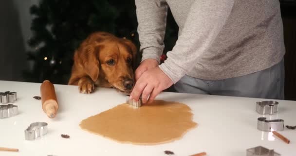 Ένας Άντρας Και Ένα Σκυλί Γκόλντεν Ριτρίβερ Ετοιμάζουν Μπισκότα Μελόψωμο — Αρχείο Βίντεο