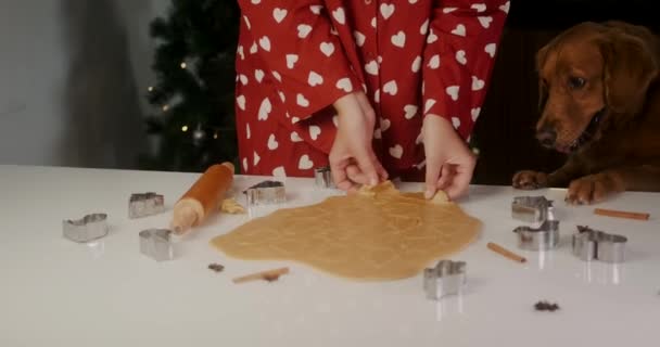 若い女性とゴールデンレトリーバーの犬がキッチンでクリスマスにジンジャーブレッドクッキーを準備しています 背景には ガーランドのあるクリスマスツリーがあります 新年のための準備 — ストック動画