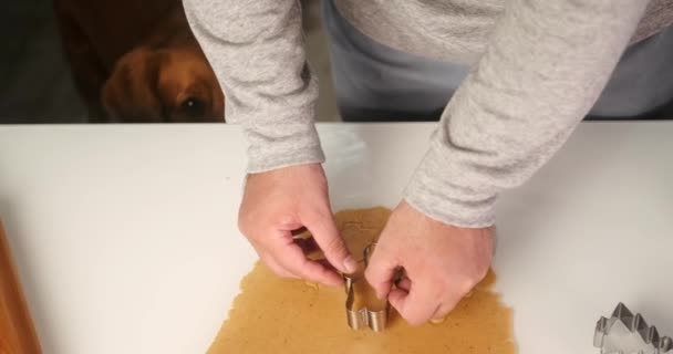 一个男人和一只金发碧眼的猎犬正在厨房为圣诞节准备姜饼饼干 在背景中 有一棵有花环的圣诞树 筹备新年庆祝活动 — 图库视频影像