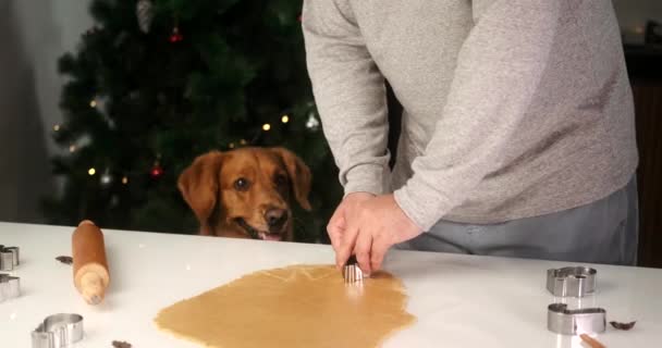 Ένα Σκυλί Golden Retriever Βοηθά Τον Ιδιοκτήτη Του Ετοιμάσει Μπισκότα — Αρχείο Βίντεο