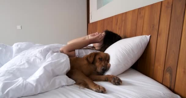 若い女性が目覚め ベッドに伸びて 彼女の隣に横たわっている黄金のレトリーバー犬がいます 女性は目をこすってベッドから立ち上がり 手を挙げた 犬はベッドで寝ている — ストック動画
