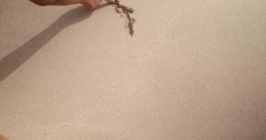 Genç bir kadın okyanus kıyısındaki kuma bir kalp sembolü çiziyor. Sevgililer Günü için ilan-ı aşk. Kuma çizen bir parmağın yakın çekimi. Arka plan videosu, tatil ve tatil konsepti.