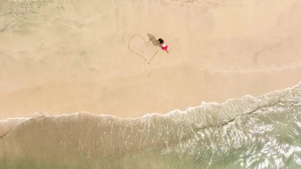 Luftaufnahme Einer Jungen Frau Einem Roten Badeanzug Die Ein Großes — Stockvideo