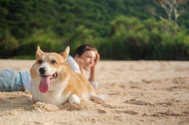 Ön planda, kumlu bir plajda dili ağzından sarkan bir Galli Corgi köpeği ve arka planda beyaz gömlekli bir kadın yatıyor. Köpeğinle sahilde rahatlatıcı bir tatil..