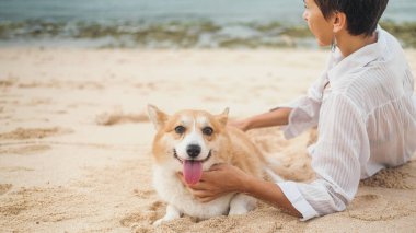 Beyaz gömlekli, kısa saçlı orta yaşlı bir kadın sahilde Galli Corgi 'sini okşuyor. Köpek dili dışarı sarkmış olarak kumun üzerine uzanır. Bir evcil hayvanla seyahat etmek. Pankart evcil hayvan dükkanı.