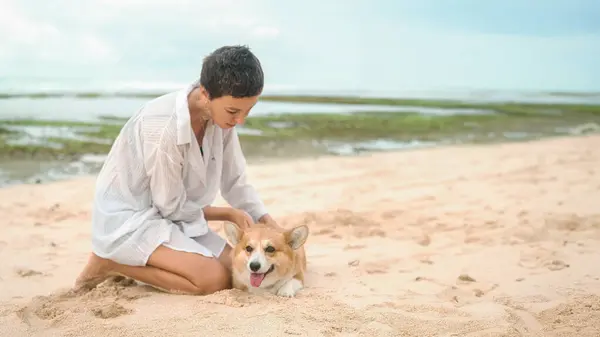 A middle-aged woman in a white shirt with a short haircut strokes her Welsh Corgi on the beach. The dog lies on the sand with its tongue hanging out. Traveling with a pet. Banner pet store.