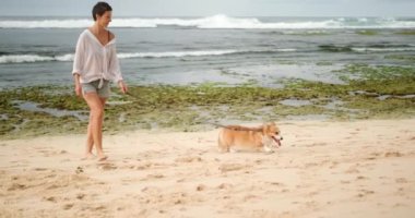 Sahilde okyanus kenarında sakin bir yürüyüş, kısa saçlı beyaz gömlekli bir kadın, tasmalı bir Galli Corgi köpeğini gezdirir. İtaatkar bir köpek komutları ve trenleri dinler. Köpek gezdirme hizmeti konsepti.