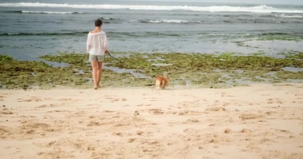 ビーチの海の近くをゆったりと歩く 短い髪の白いシャツを着た女性は リーシュにウェールズ コルギの犬を散歩します 従順な犬は コマンドや電車をリストアップします ドッグウォーキングサービスコンセプト — ストック動画