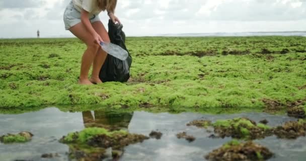Grupo Voluntarios Limpia Playa Basura Una Joven Recoge Una Botella — Vídeo de stock