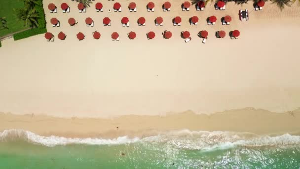 Vista Superior Club Playa Con Tumbonas Sombrillas Rojas Orilla Del — Vídeo de stock