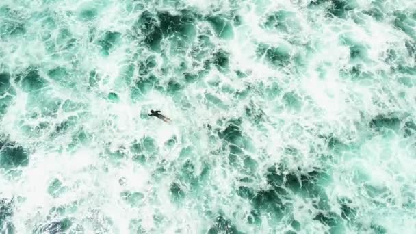 Flygfoto Från Ovan Manlig Surfare Paddla Bräda Havet Lineup Stora — Stockvideo