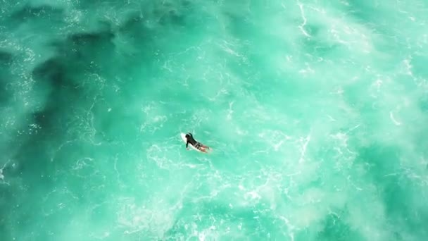 Letecký Pohled Shora Mužského Surfaře Pádlujícího Prkně Oceánu Řadě Velké — Stock video