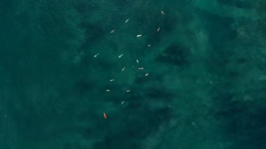 Okyanustaki mavi sularda sörf tahtalarında uzanan sörfçülerin hava manzarası. Bir sıra oluşturup dalgayı bekliyorlar. Endonezya, Bali 'de sörf. Büyük dalgalar, dalgaları bekliyor.