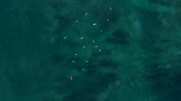 Flygfoto Surfare Som Ligger Surfbrädor Blått Vatten Havet Line Och — Stockvideo