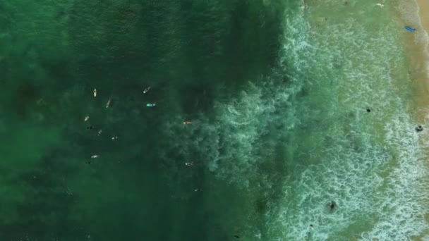 海のサーファーのトップダウンビューは ちょうどオフショアで大きな波をキャッチ 波からの泡を通してターコイズ水を通ってラインアップ上のボードパドル上のサーファー バリ島の風光明媚なライフスタイル — ストック動画