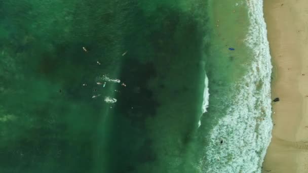 Flygfoto Ovanifrån Surfare Havet Som Fångar Stora Vågor Precis Utanför — Stockvideo