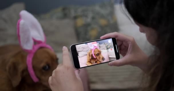 Молодая Женщина Держит Смартфон Снимает Свою Собаку Лежащую Диване Повязке — стоковое видео