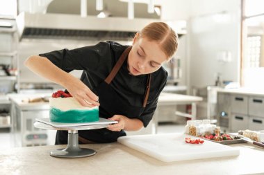 Pastayı taze böğürtlenlerle süslemeye odaklanmış kızıl saçlı genç bir pasta şefinin yakın portresi. Profesyonel bir şekerleme dükkanında çalışma süreci. Şekerlemeci.
