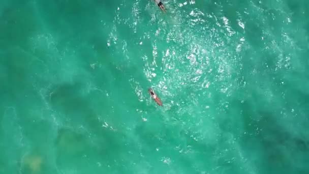 Aerial Odważny Sexy Sportowiec Surfer Młoda Kobieta Oceanie Pływanie Dużych — Wideo stockowe