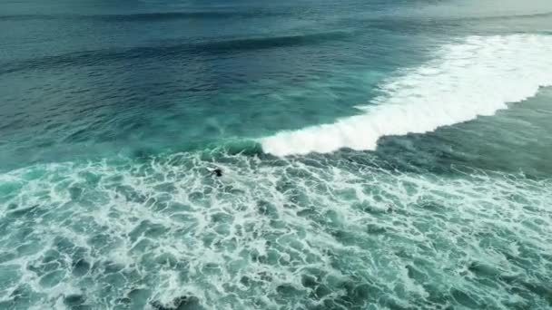 海の勇敢なアスリートサーファーは 完璧なサーフィンスポットに到達するために大きな強力な波とパドルを泳いでいます 白い泡のサーフボードパドル上の若い男 — ストック動画