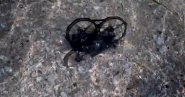 FPV 'nin insansız hava aracının yattığı sahilin yakınındaki okyanusun en üst görüntüsü tamamen su altında. İHA bir arıza yüzünden düştü. Kumsalda bir drone bulundu..
