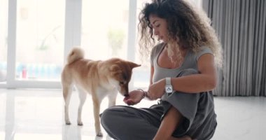 Parlak bir oturma odasında, kıvırcık saçlı genç çekici bir kadın pencerenin yanında oturuyor, bir Shiba Inu köpeği onun yanında duruyor. Sahibi kadın köpeğe ikram eder ve onunla konuşur..