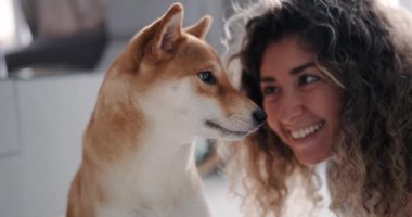 Shiba Inu köpeğine bakıp gülümseyen kıvırcık saçlı çekici bir kadının portresi. Köpek dudaklarını yalıyor ve yana bakıyor. Sahibi evcil hayvanıyla oynaşıyor..