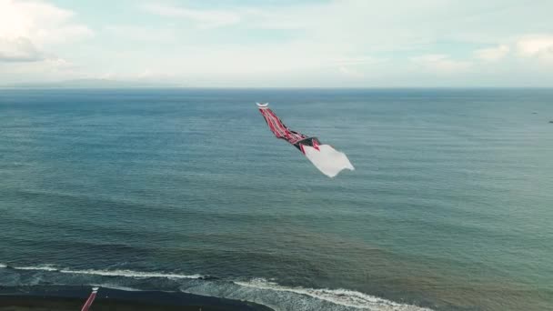 Luchtfoto Van Een Vlieger Met Een Lange Kleurrijke Staart Die — Stockvideo